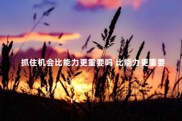 抓住机会比能力更重要吗 比能力更重要的品质有哪些